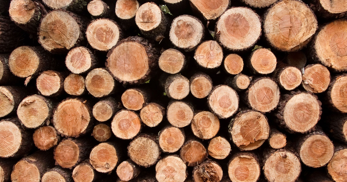 Lignin: Hosokawa Alpine and Lignopure announce collaboration